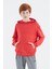 Fiesta Kapüşonlu Basic Erkek Çocuk Sweatshirt - 11181 6