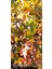 Amerikan Sığla Ağacı Liquidambar Styraciflua 1