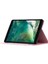 iPad 10.2 (2019 2020 2021) Baskılı Pu Deri Kart Tutucu Folio Standı Tablet Kılıfı (Yurt Dışından) 3