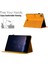 iPad Pro 11 (2024) Petek Baskılı Kart Yuvalı Deri Tablet Kılıfı (Yurt Dışından) 5