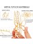 Butterfly Claw Clip Metal Hair Clip 4.3 Inch Gold Hair Clip Women's Non-Slip Cute Hair Clip Fashion Hair Shark Accessories (Butterfly) (Yurt Dışından) 4