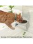 Sevimli Kedi Tasarımlı, Ergonomik Beyaz Kedi ve Köpek Mama ve Su Kabı Tekli Small Model – Paslanmaz Çelik, Dayanıklı Malzeme 2