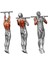 Tekno Trust Gri Barfiks Aleti - Barfiks Demiri - Barfix Çubuğu ( Antrasitgri) Duvara Monte 80 - 100 cm 5