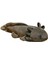 Axolotl Oyuncak 17.72 Inç Gençler Axolotl Doldurulmuş Gri (Yurt Dışından) 2
