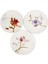 Royal Flowers Servis Tabak 6'lı 2