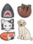 Jibbitz Jibbitzanimallover5 Pack Charms 1