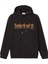Established 1973 Embroidery Logo Brush B Erkek Sweatshirt 1