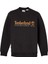 Established 1973 Embroidery Logo Brush B Erkek Sweatshirt 1