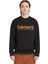 Established 1973 Embroidery Logo Brush B Erkek Sweatshirt 2
