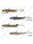 Prorex V Marley Pelagic Shad 21CM 75GR Silikon Yem 2