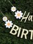 Parti Adresi Papatya Temalı Happy Birthday Yazı Banner Doğum Günü Parti Süsü 2