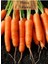 Havuç Tohumu 1 Paket Nantes Havuç Tohumu Kapalı Paket Yüksek Verimli Tohum Carrot 2