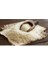 Mojdeh Müjde 1121 Safran Aromalı 5 kg Hint-Iran Basmati Pirinci 2