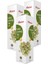 3 Kutu Kabak Çekirdeği Yağı 250 ml Pumpkin Seed Oil Kabak Yağı Saf Yağ 1