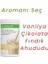 Çok Hızlı Olsun Formül 1 Besleyici Shake Karışımı Vanilyalı Aromalı 550 G 2