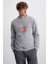 EREKLE Erkek Pamuk-Polyester Nakışlı Açık Gri Sweatshirt 1