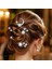 Casdre Star Shape Rhinestone Hair Clip Bridal Hair Accessories Sparkling Crystal Bridal Wedding Hair Accessories For Women And Girls (5 Pack) (Yurt Dışından) 1