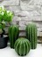 3'lü Kaktüs Dekoratif Biblo Seti, Beton, Yeşil, Şık ve Doğal Görünüm 1