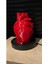 Tekno Trust Kalp Lamba Sevgililer Günü Kalp Biblo Fanus Içerisinde Anatomik Kalp Romantik 5