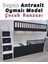 Beyaz Antrasit Oymalı Model Çocuk Ranzası 2