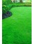 30 Kg. Çim Tohumu 6m Grass Mixture 3 Çuval Ithal Karışım Çim Tohumu Özel Tohum 2