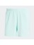 IZ4399 Otr B Short 2