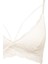 Fall in Love Pedli Dantelli Bralet R6569AZ24AU 3