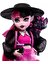 Monster High Acayip Havalı Arkadaşlar - Draculaura HRP64 3