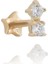 Dual Tragus 1