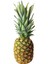 Freeze Dried Dilim Ananas - 200 Gr. - Büyük Boy - Dondurularak Kurutulmuş 3