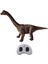 Rc Dinozor Kız Figürü Rc Yaş 3 4 5 6 7 Brachiosaurus (Yurt Dışından) 1