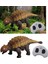 Çocuklar Için Rc Dinozor LED Işıklı Çocuklar Için Ankylosaurus (Yurt Dışından) 3