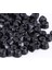 100 M2 Axial SCX24 AXI90081 Rc Iıcı 100 Için 2mm'ğiştirir (Yurt Dışından) 4