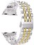 Apple Watch 10 / 11 46 mm Uyumlu Metal Kordon Premium Paslanmaz Çelik Kayış 1