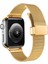 Apple Watch 10 / 11 42 mm Uyumlu Hasır Metal Kordon Magnetik D Tokalı Tel Örgü Kayış Mıknatıslı Toka 1