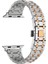 Apple Watch 10 / 11 42 mm Uyumlu Metal Kordon Luxury Paslanmaz Çelik Kayış 2