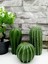 Dekoratif 3'lü Kaktüs Biblo, Beton, 20x10 cm, Canlı Yeşil Renk 1