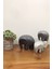 Beton Fil Biblo Dekor Seti, 140x100, Koyu Gri, Şık ve Modern Tasarım 5