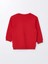 Lcw Baby canlı Kırmızı Bisiklet Yaka Uzun Kollu Baskılı Erkek Bebek Sweatshirt 3