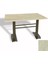 Tokyo Werzalit Masa 80X140 (Esb) - Golden Marble 1