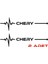 Chery Için Uyumlu Aksesuar Nabız Sticker Siyah 30*8 cm 1