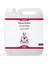 Premium Havuç Esansı 10569 5 Litre 1
