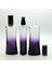 20 Adet Boş Cam Parfüm Şişe, 100 Ml, Eyfel Model, Boyalı 4