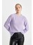 Regular Fit Bisiklet Yaka Selanik Kumaş Basic Düz Triko Kazak H6905AZ24WN 3