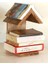 Ahşap Masif Kitap Altlığı Kitaplık Dekoratif 1