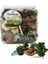 Hedersam Kurutulmuş Çiçek, Açık Yeşil, 90 G, Çimen 1
