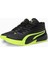Court Pro Unisex Basketbol Ayakkabısı 31084203 3