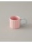 Angled New Bone China Kahve Fincan Takımı Açık Pembe 2