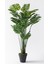 Yapay Devetabanı(Monstera) Ağacı 200 cm 1