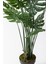 Yapay Devetabanı(Monstera) Ağacı 200 cm 3